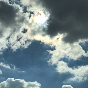 Meet your Posher, Akilah